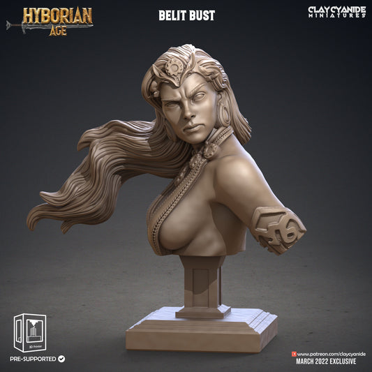 Belit Bust - Clay Cyanide Printed Model | Dungeons & Dragons | Pathfinder | Tabletop