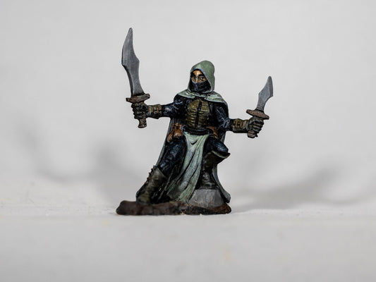 Serena, Dreadmere Rogue - Dungeons & Dragons Painted Miniature