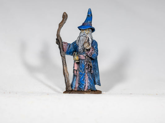 Andallin Bonnerstock, Wizard - Dungeons & Dragons Painted Miniature