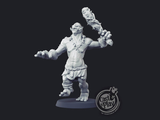Troll - Cast n Play Printed Miniature | Dungeons & Dragons | Pathfinder | Tabletop