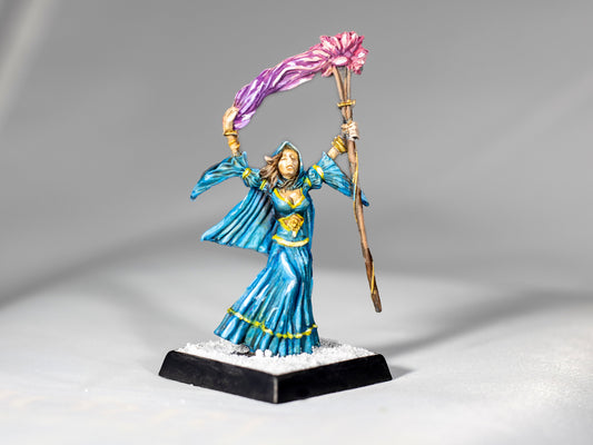 Arcanamirim Wizard - Dungeons & Dragons Painted Miniature | Pathfinder | Tabletop