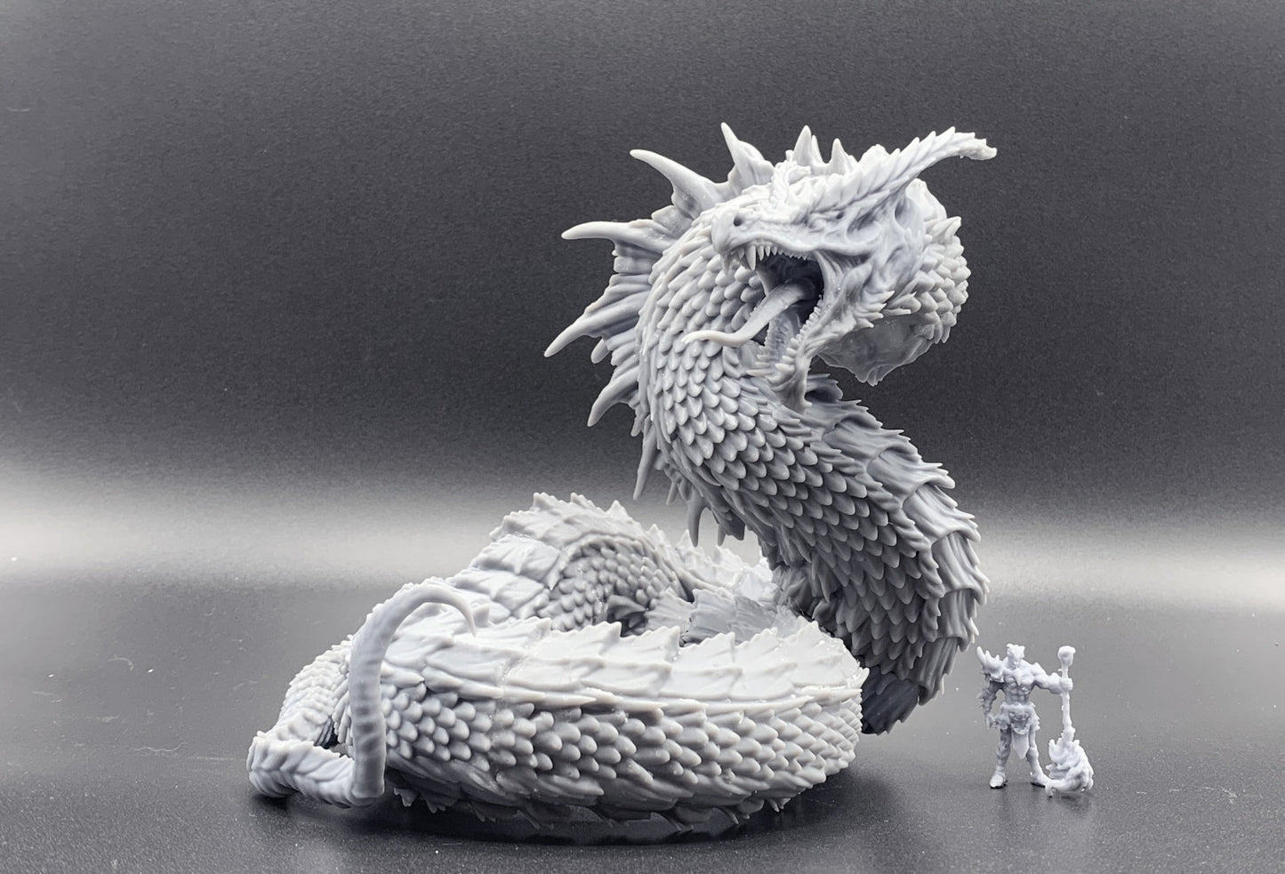 Wrym - Mini Monster Mayhem Printed Miniature | Dungeons & Dragons | Pathfinder | Tabletop