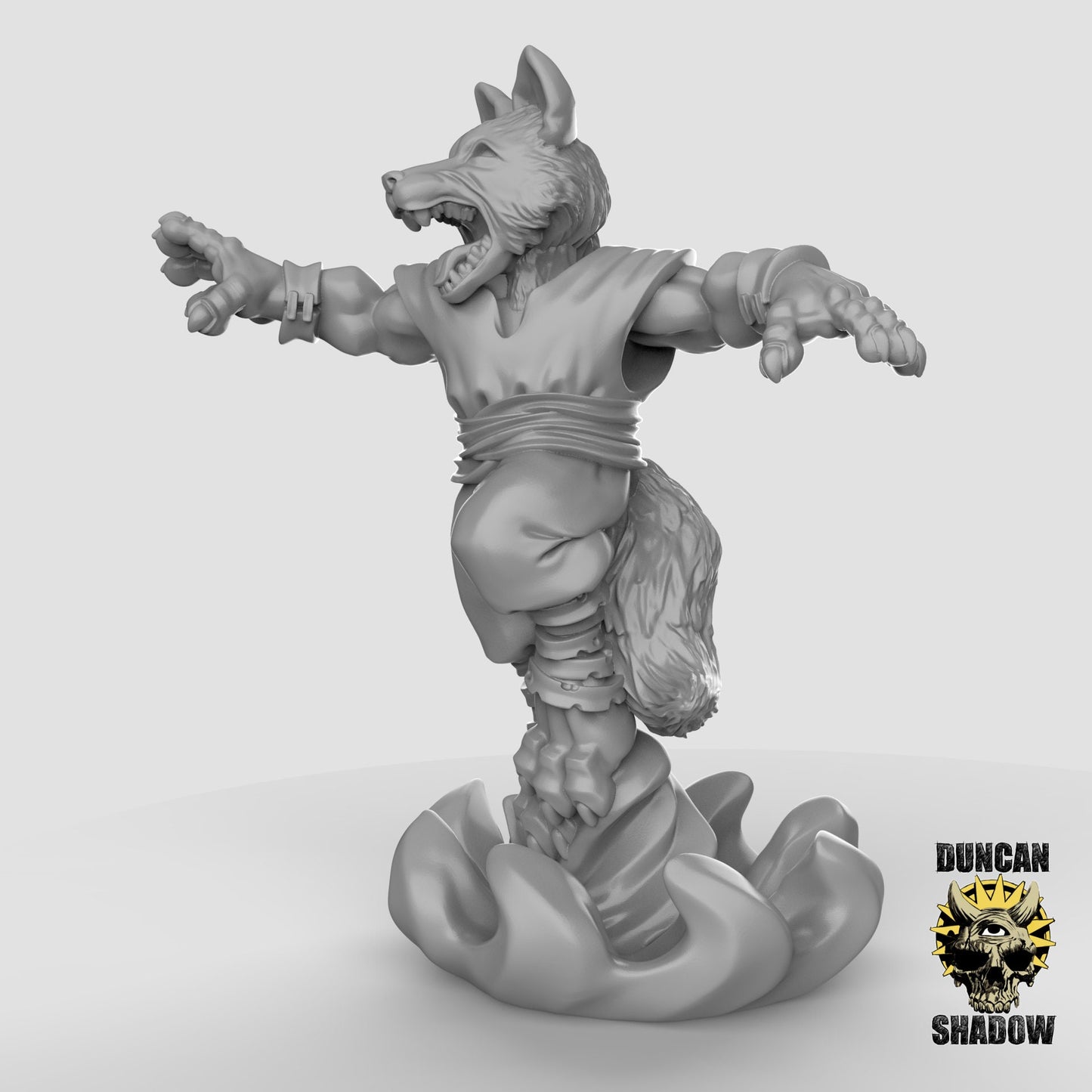 Fox Sorceror - Dogfolk - Canis - Duncan Shadow Printed Miniature | Dungeons & Dragons | Pathfinder | Tabletop