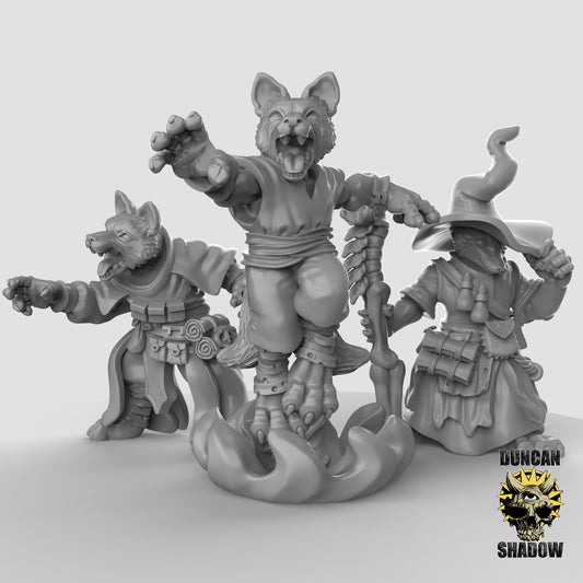 Fox Sorceror - Dogfolk - Canis - Duncan Shadow Printed Miniature | Dungeons & Dragons | Pathfinder | Tabletop