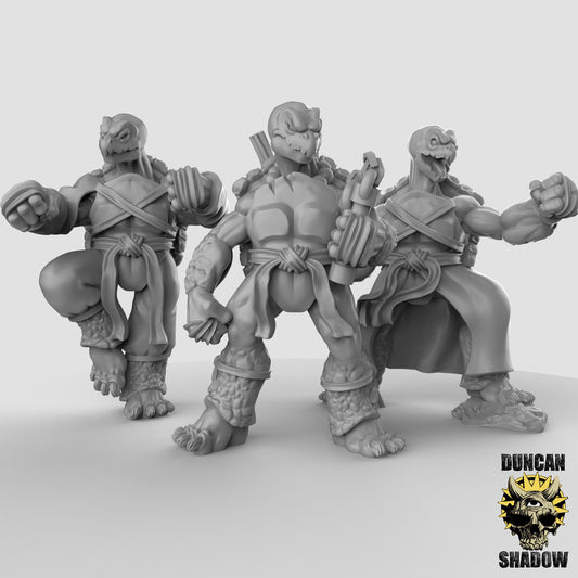 Tortle Monk - Duncan Shadow Printed Miniature | Dungeons & Dragons | Pathfinder | Tabletop