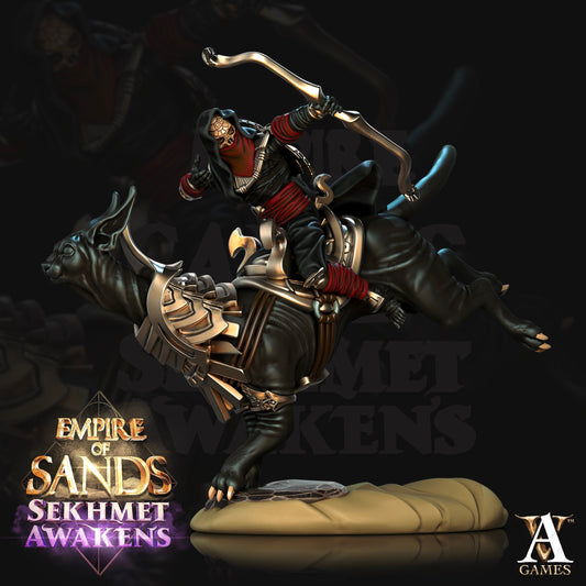Salahari Rider - Archvillain Games Printed Miniature | Dungeons & Dragons | Pathfinder | Tabletop