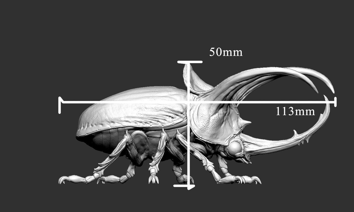 Giant Beetle - Mini Monster Mayhem Printed Miniature | Dungeons & Dragons | Pathfinder | Tabletop