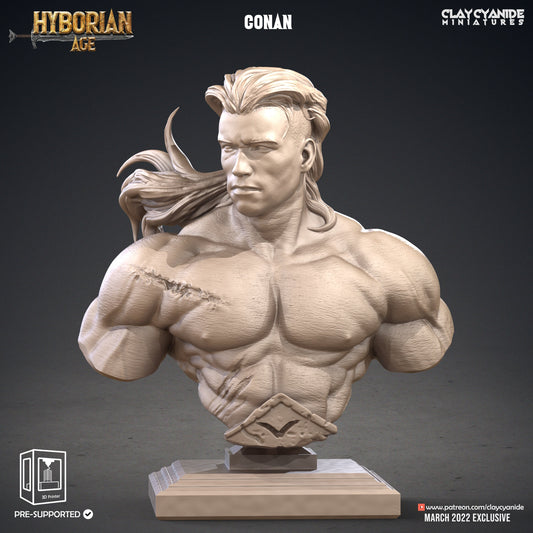 Conan Bust - Clay Cyanide Printed Model | Dungeons & Dragons | Pathfinder | Tabletop