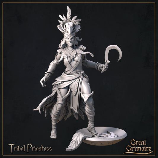 Tribal Priestess - Great Grimoire Printed Miniature | Dungeons & Dragons | Pathfinder | Tabletop