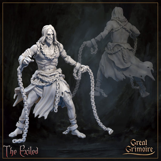 The Exiled - Great Grimoire Printed Miniature | Dungeons & Dragons | Pathfinder | Tabletop