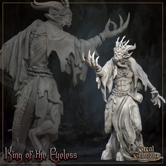 King of the Eyeless - Great Grimoire Printed Miniature | Dungeons & Dragons | Pathfinder | Tabletop