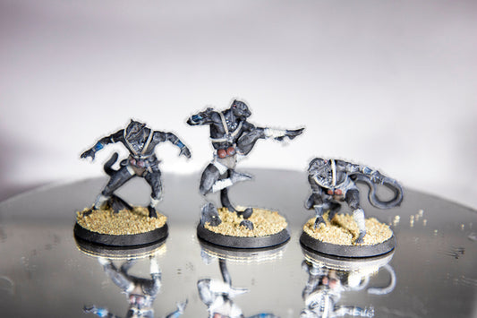 Panthera Warriors Painted Models - Clay Cyanide Printed Miniature | Dungeons & Dragons | Pathfinder | Tabletop